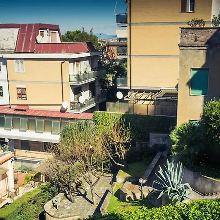 Il Pesco Al Vaticano *